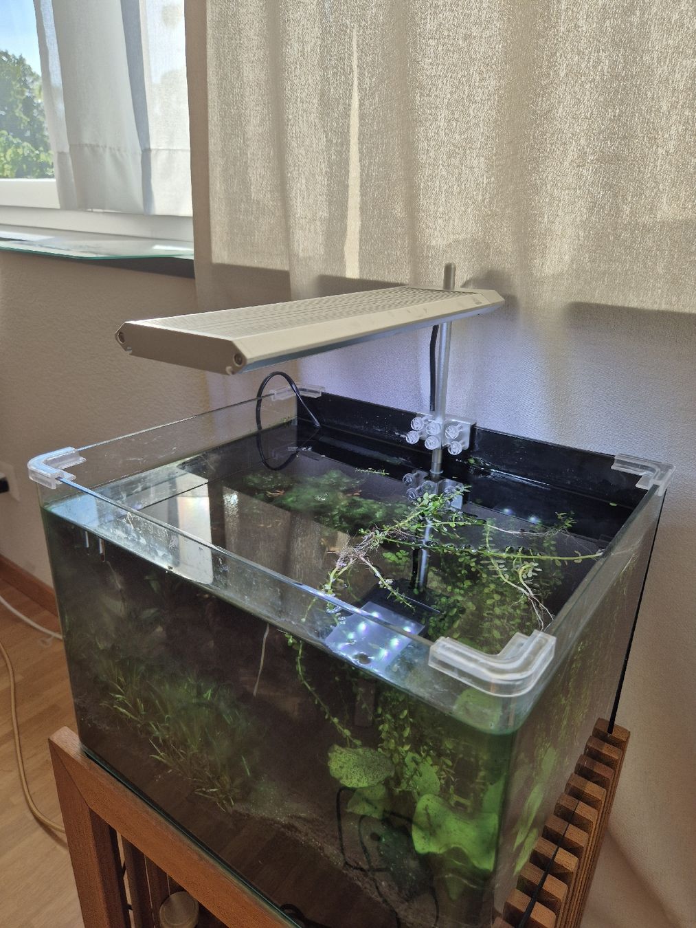 Acquari: Dennerle 35 Liter Tank komplett – Usato da Winterthur venduto da nienin 1