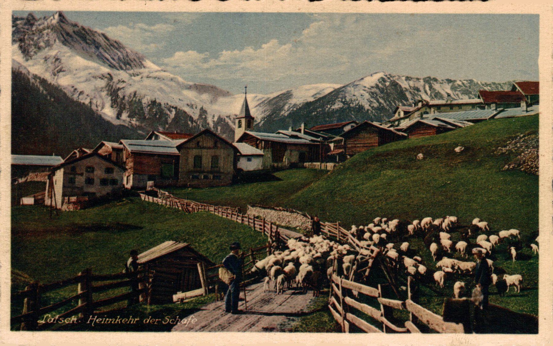 Cartoline postali: Latsch. Heimkehr der Schafe – Usato da Bronschhofen venduto da Astore