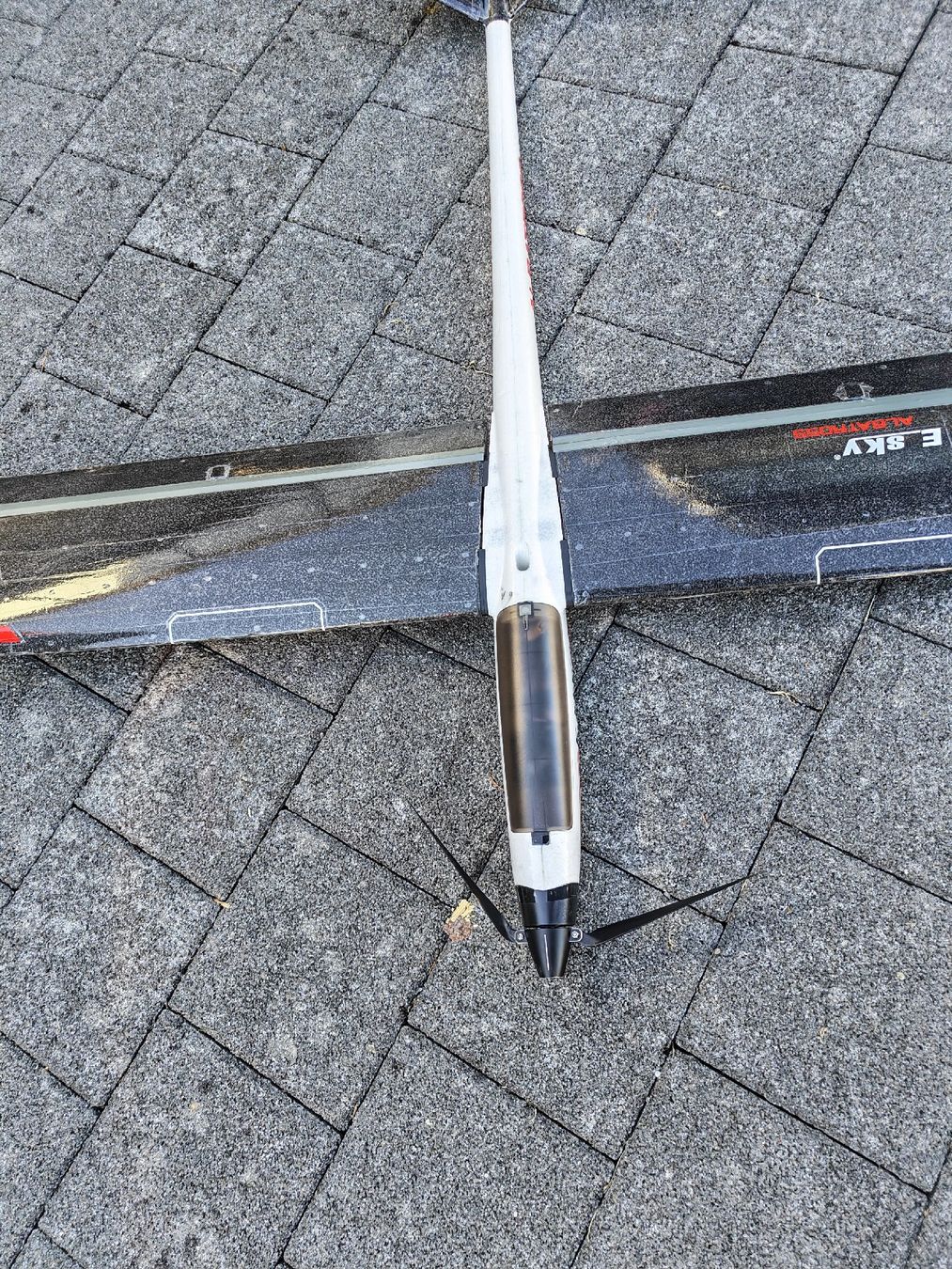 Modellismo RC: RC Segelflugzeug E-Sky Albatross – Usato da Kallern venduto da Slobsen 2