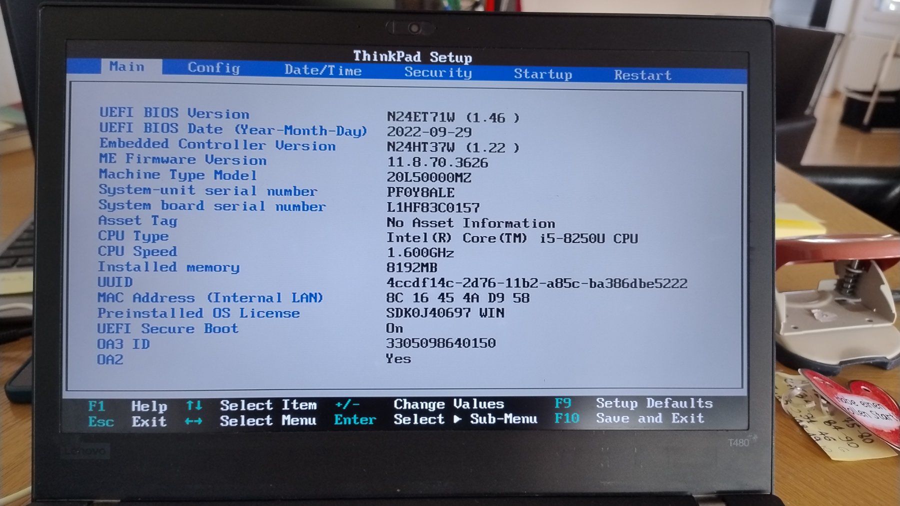 Lenovo Notebook: Lenovo ThinkPad T480 – Usato da Wohlen b. Bern venduto da adr_6jcm 3