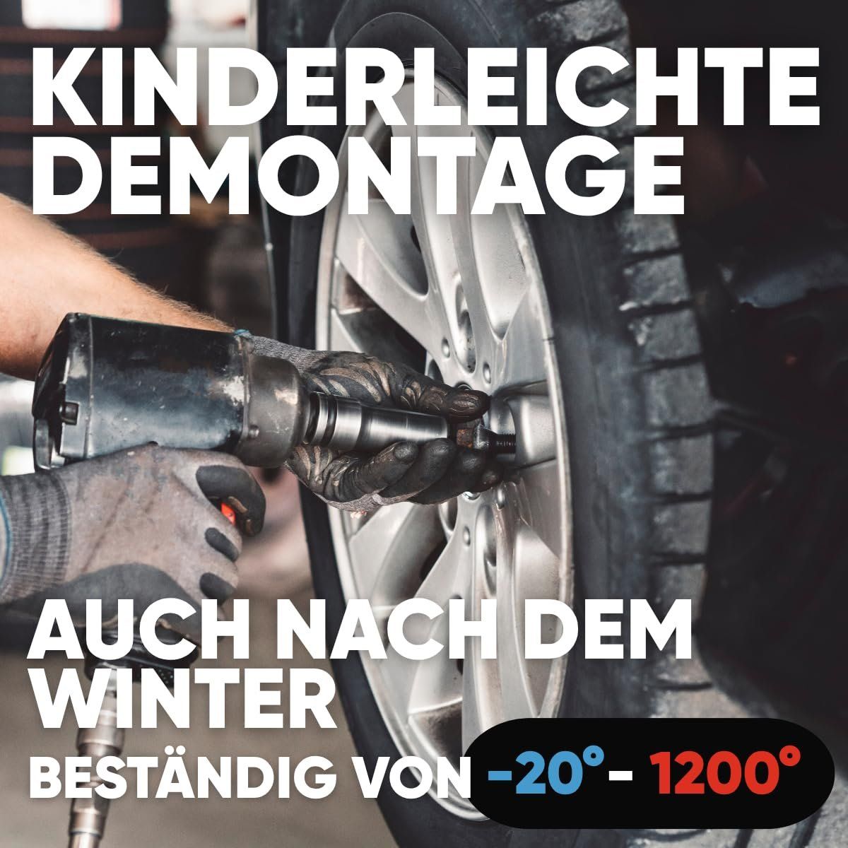 Tutti gli attrezzi: Keramikpaste Radnabenpaste 200 ml mit Pinsel Rostschutz – Nuovo e nell'imballaggio originale da Suhr venduto da SchnapperCH 3
