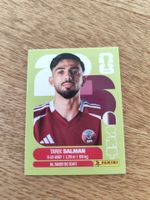 Panini Wm 2026 Qat 8