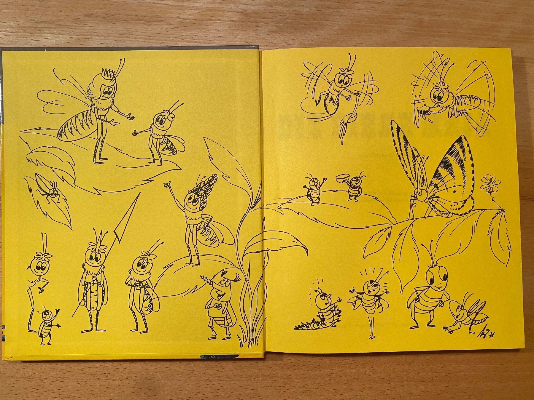 Libri: Die Biene Maja - Margret Mellert/Bernhard Meyer 1972 – Usato da Schwarzenburg venduto da Michellu 3