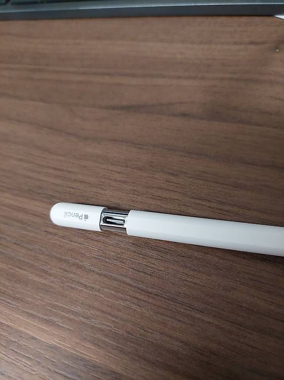 Apple Penna & Evidenziatori: Apple Pencil USB C – Usato da Schlieren venduto da DGamboni 1