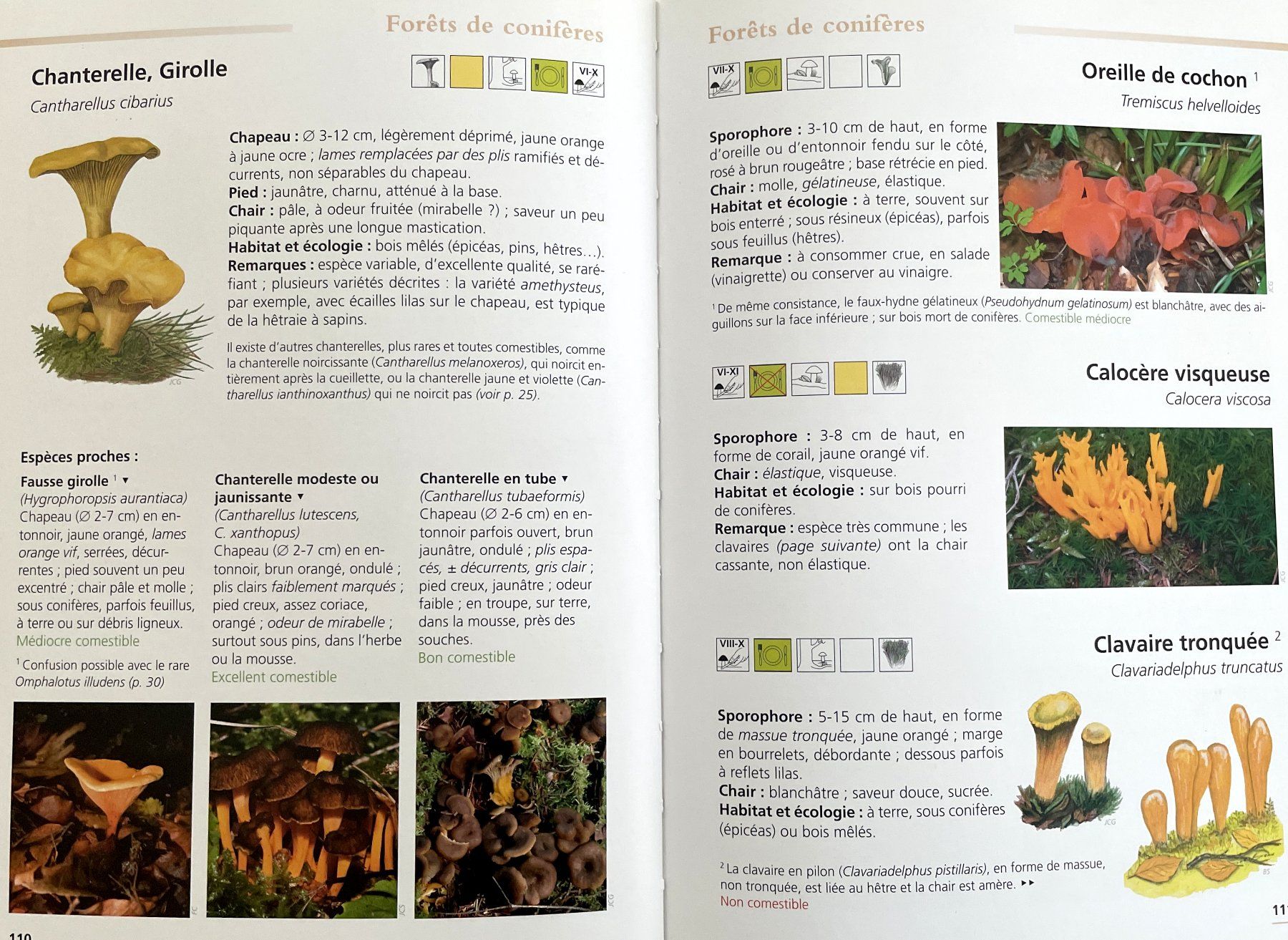 Libri: Champignons du Jura – Usato da Savagnier venduto da Ne2065 3