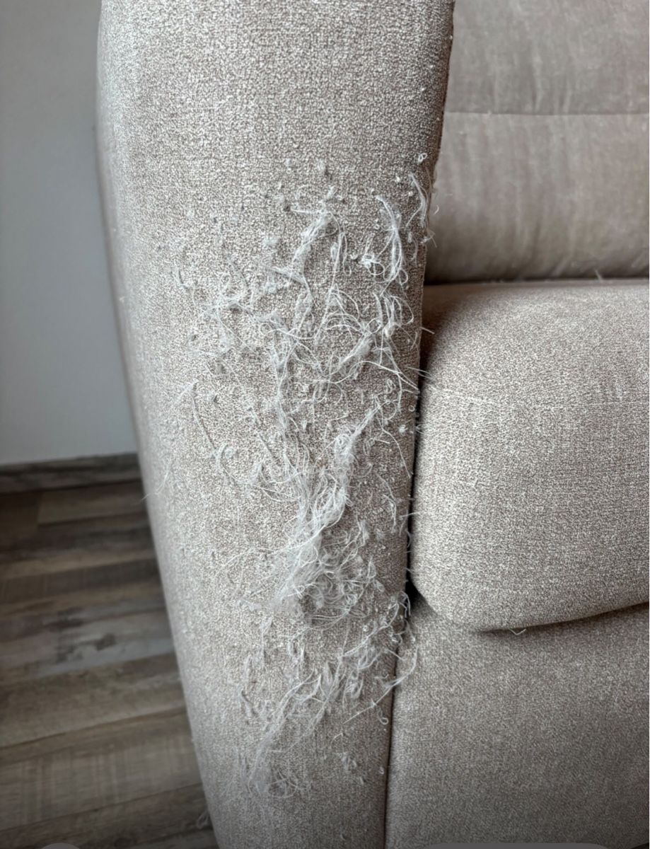 Divani: Bettsofa – Usato da pany venduto da lusi01 2