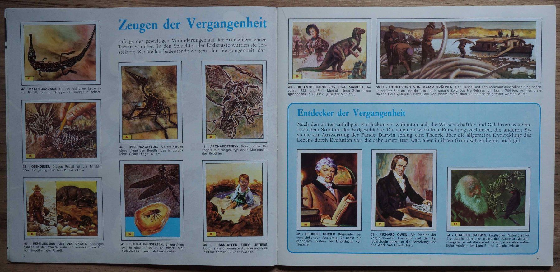 Panini Alben: Panini-Album Tiere der Urzeit – Gebraucht aus Schindellegi von woneschi 5