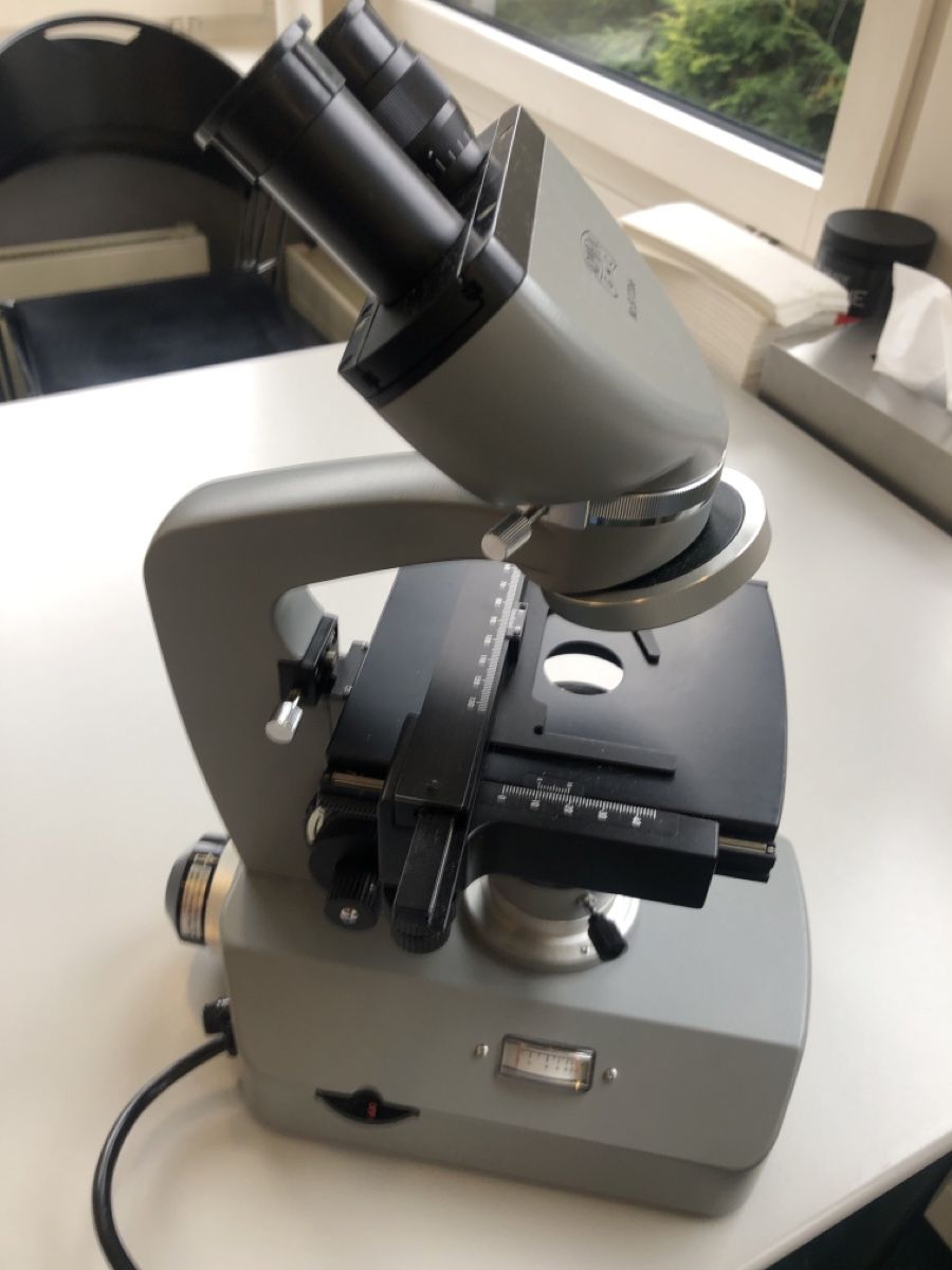 Microscopi: Mikroskop – Usato da Rüschlikon venduto da inf_l7m5 5