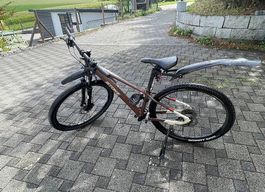 Braunes Bike