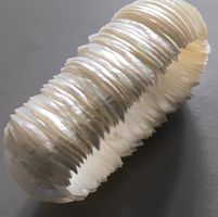 Armband Perlmutt Muschelschalen schimmernd guter Zustand