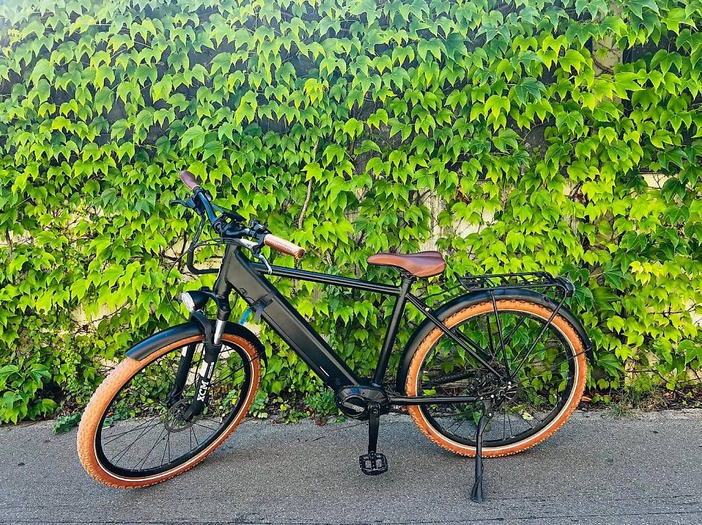 Ego Movement Vélos: E-Bike Ego Movement TARZAN – D'occasion à Dietikon par 00conci00
