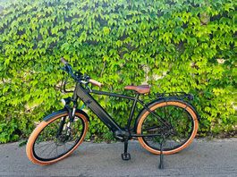 E-Bike Ego Movement TARZAN