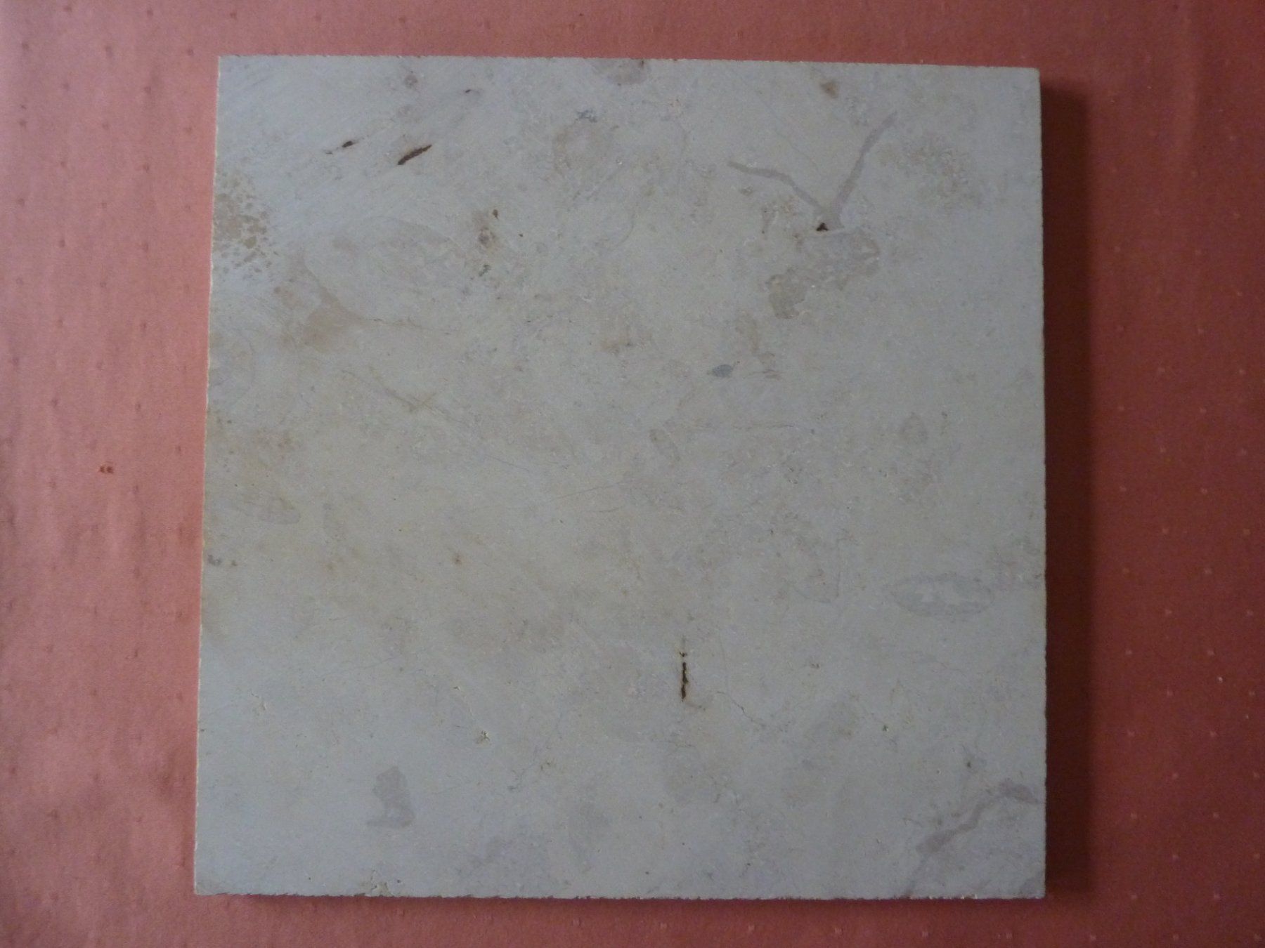 Fossili: Kalksteinplatte mit Ammoniten – Usato da Triengen venduto da Nussbaum14 9