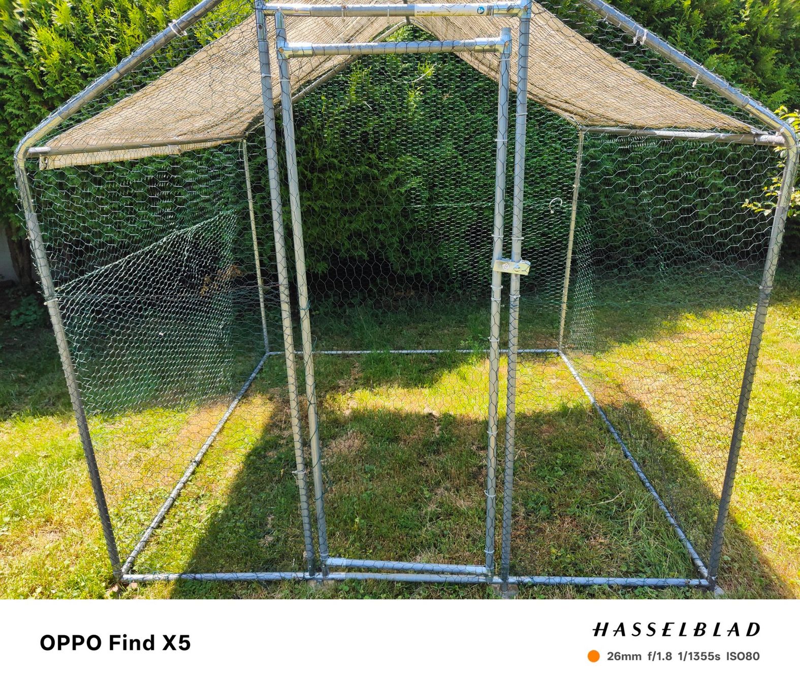 Cages, transport & sécurité: Hühnerstall – D'occasion à Spreitenbach par ego_bb8n 4