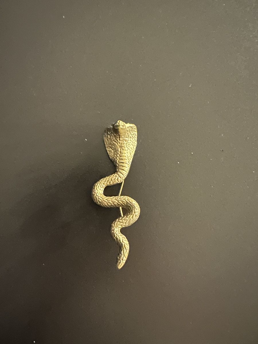Spille & Fermagli: Spilla vintage a forma di serpente cobra  DOING GOODS – Usato da Losone venduto da niv_8vwx