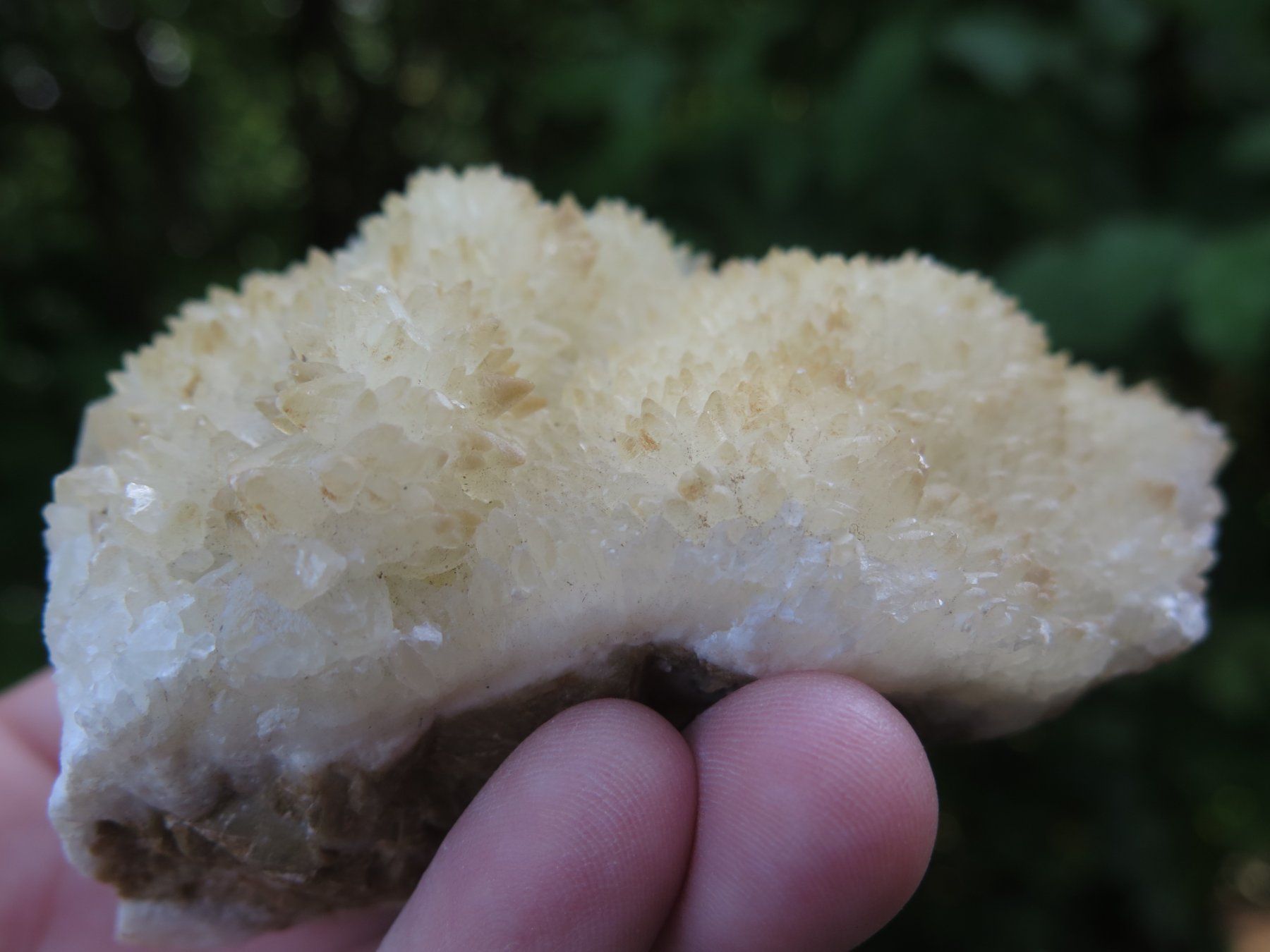 Mineralien & Heilsteine: Calcit auf Siderit – Gebraucht aus Schaffhausen von Yamakana51L8736OQ8 8