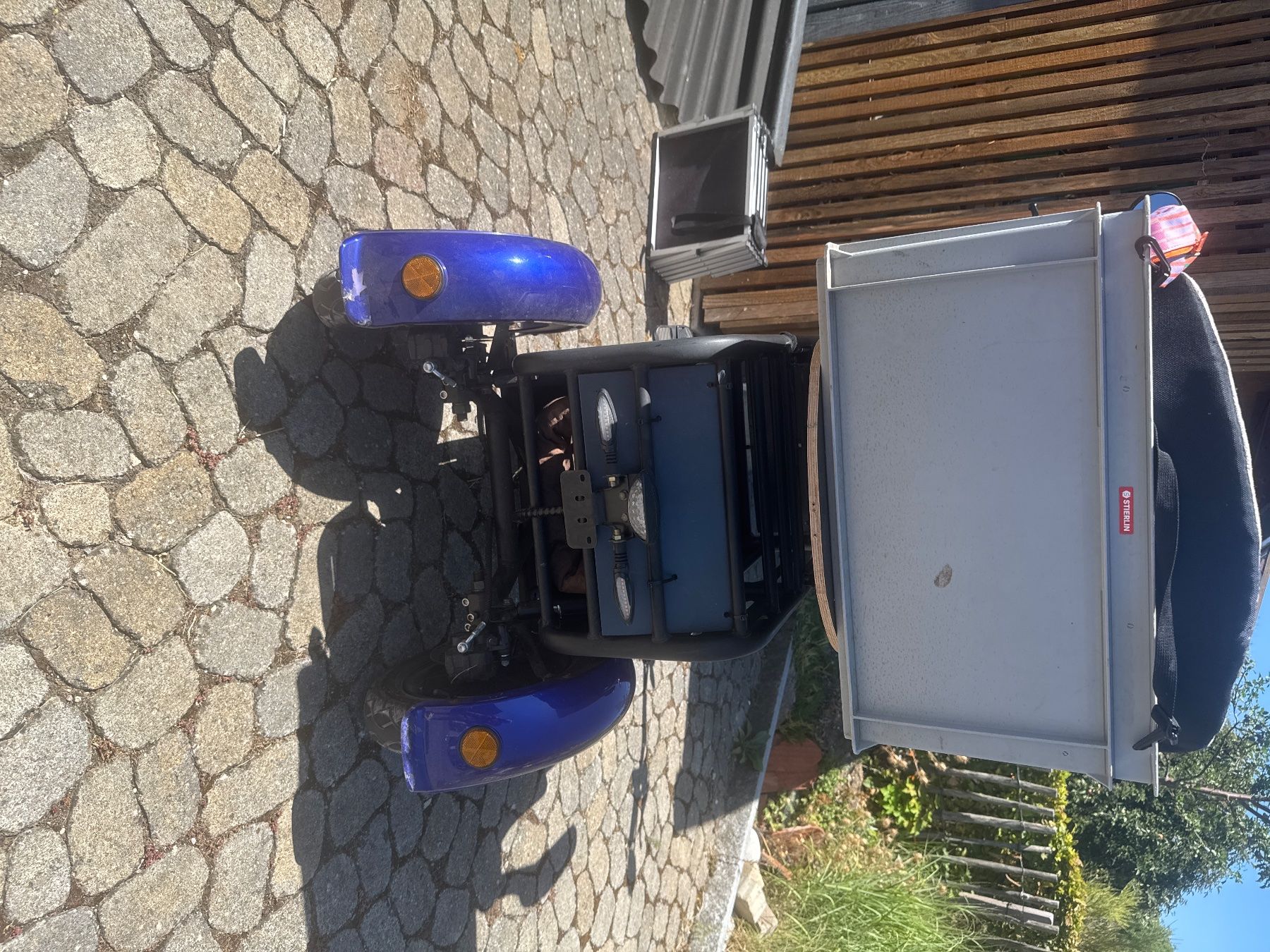 Veicoli elettrici: Pet Trike Elektro – Usato da Hallau venduto da bei_9rdb 2