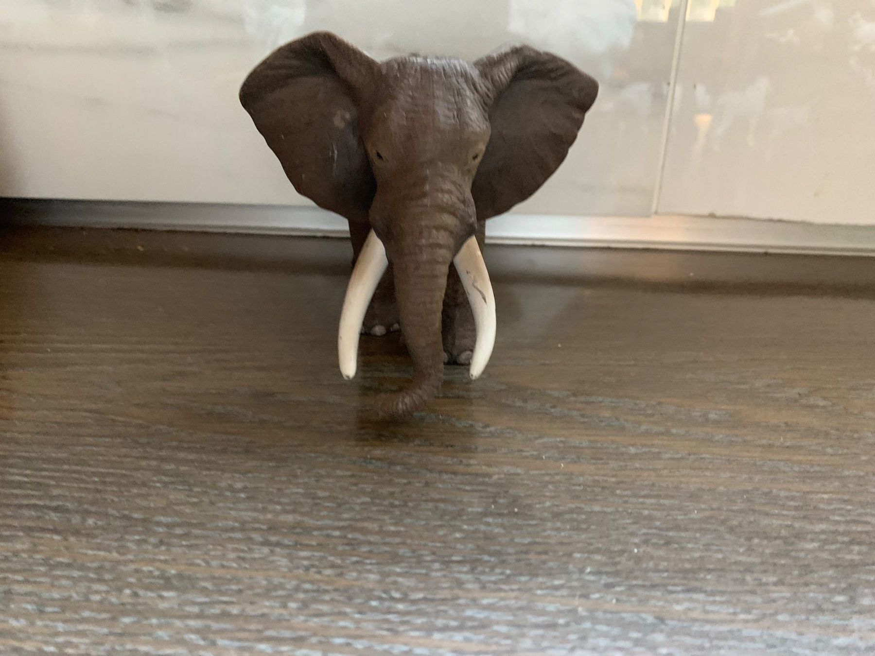 Schleich Statuette: Schleich asiatische Elefantenkuh 14654 – Usato da Richterswil venduto da irenemiz