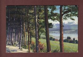 ZÜRICHBERG - 1913 // Falte //