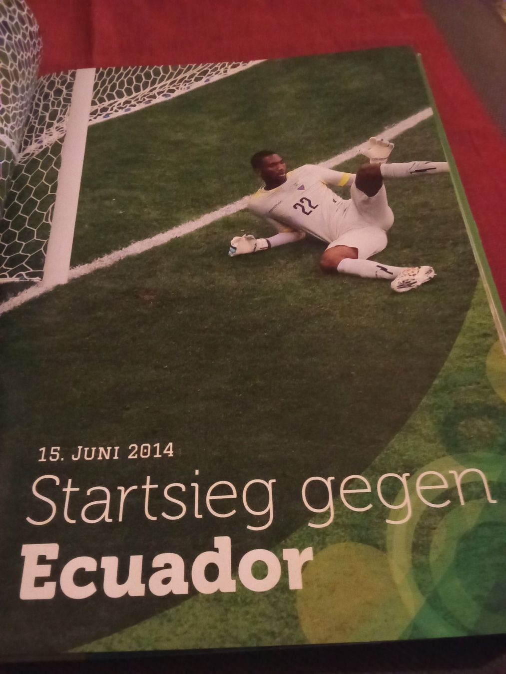 Libri: Das grosse Schweizer Buch der WM 2014 – Usato da Remetschwil venduto da Privatflohmi 7