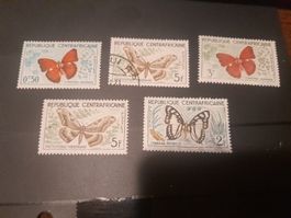 Centrafrique papillon