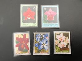Orchideen Jersey und Belgien  1984  (4837)