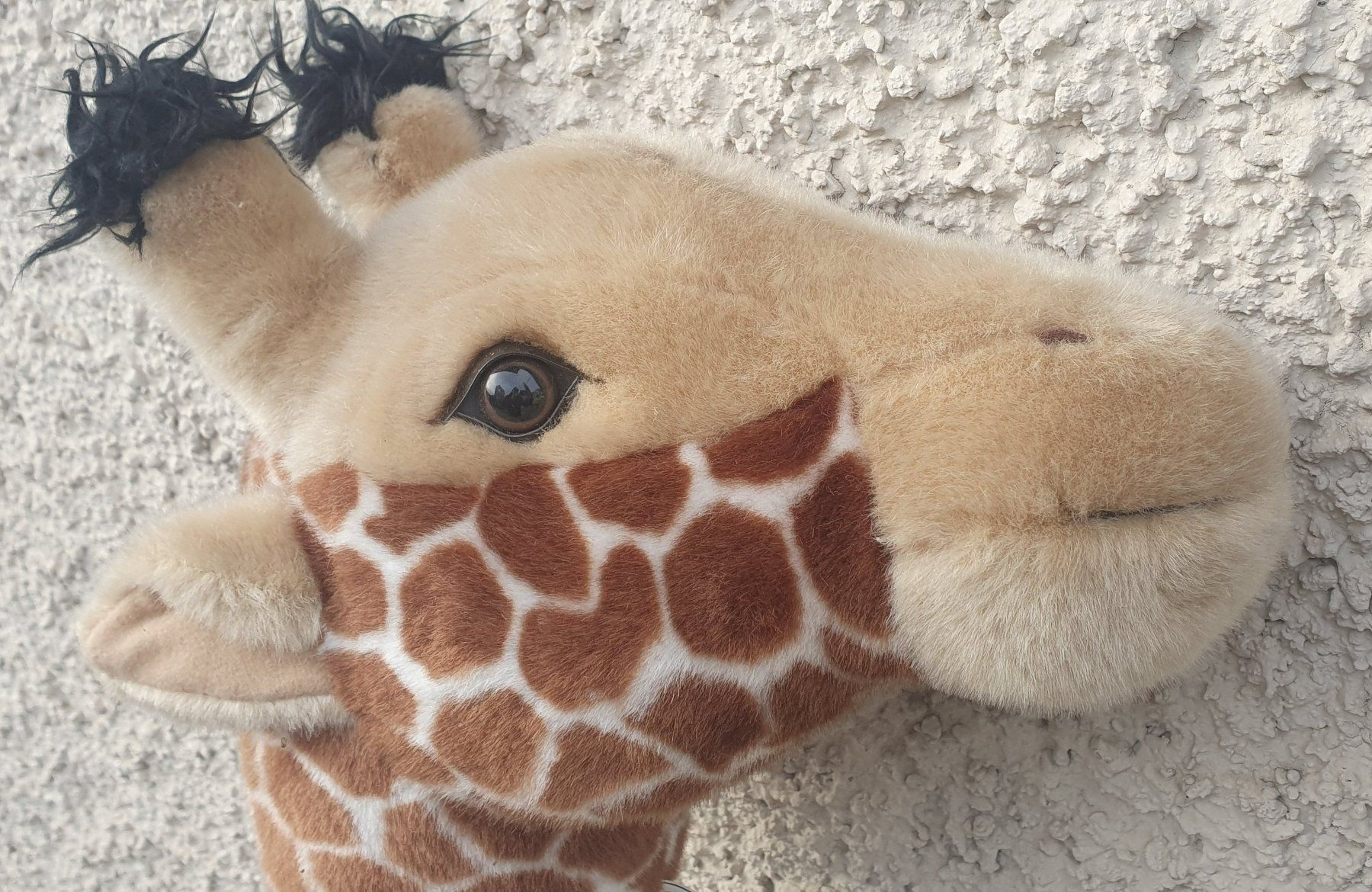 Giocattoli: Steckenpferd mit Giraffenkopf – Usato da Schaffhausen venduto da Daco5 3