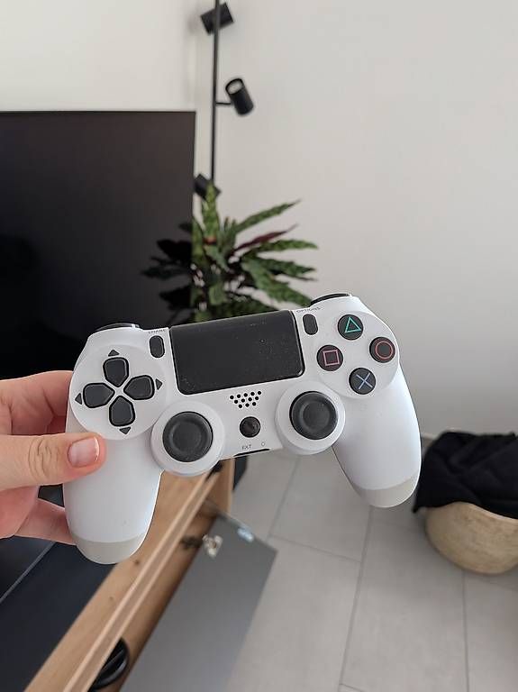 Console: PS 4 mit 2 Controller – Usato da Bauma venduto da vanessas98 1