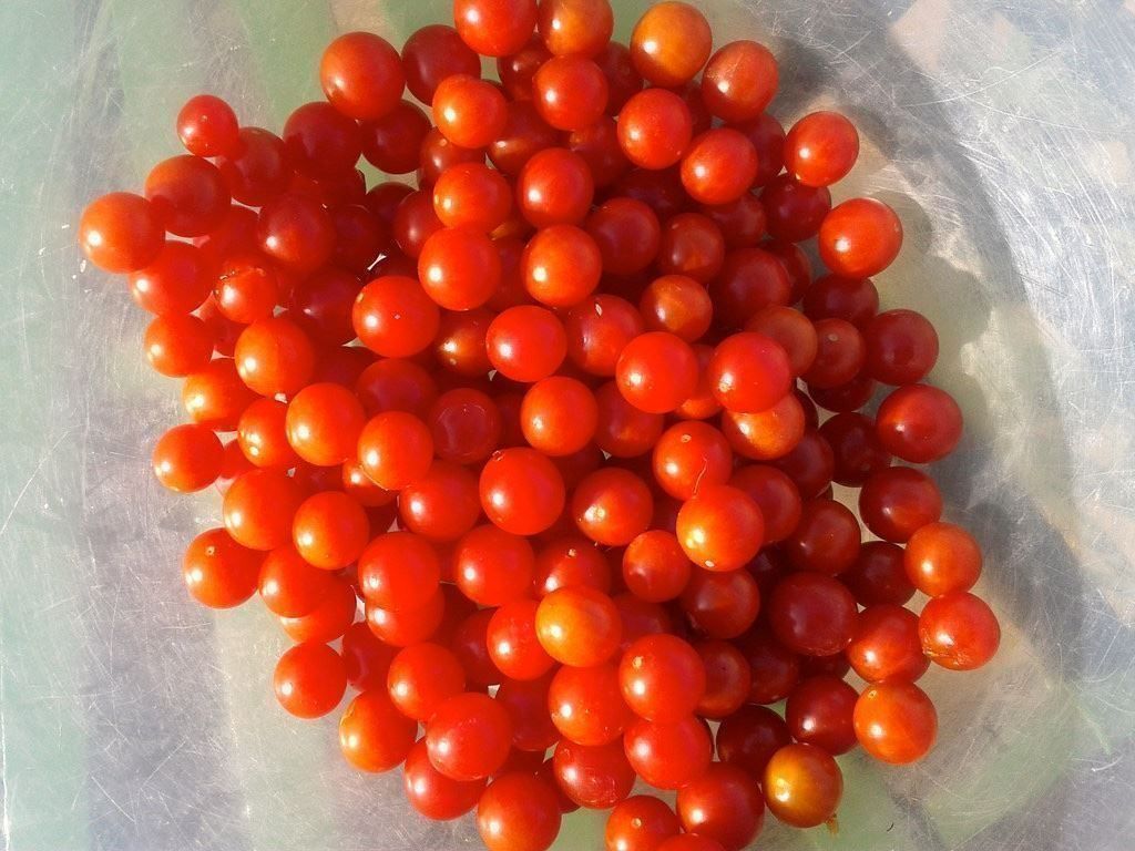 Piante & sementi: 50 Samen Johannisbeertomate – Nuovo (secondo la descrizione) da Ehrendingen venduto da VerveinaSamen 5