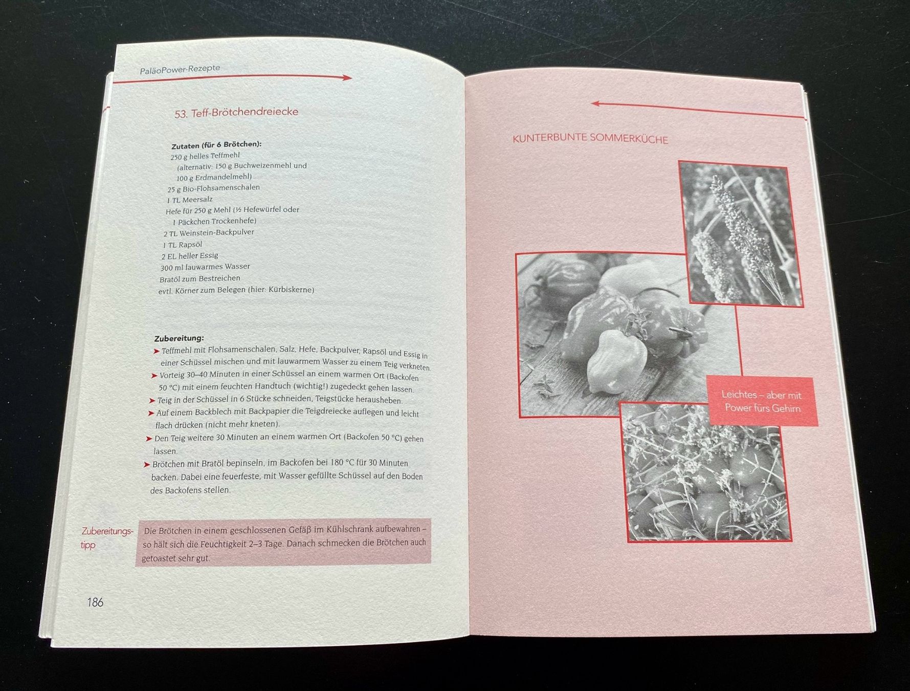 Libri: DAS PALÄOPOWER KOCHBUCH / Sabine Paul – Usato da Nussbaumen AG venduto da schuba2000 6