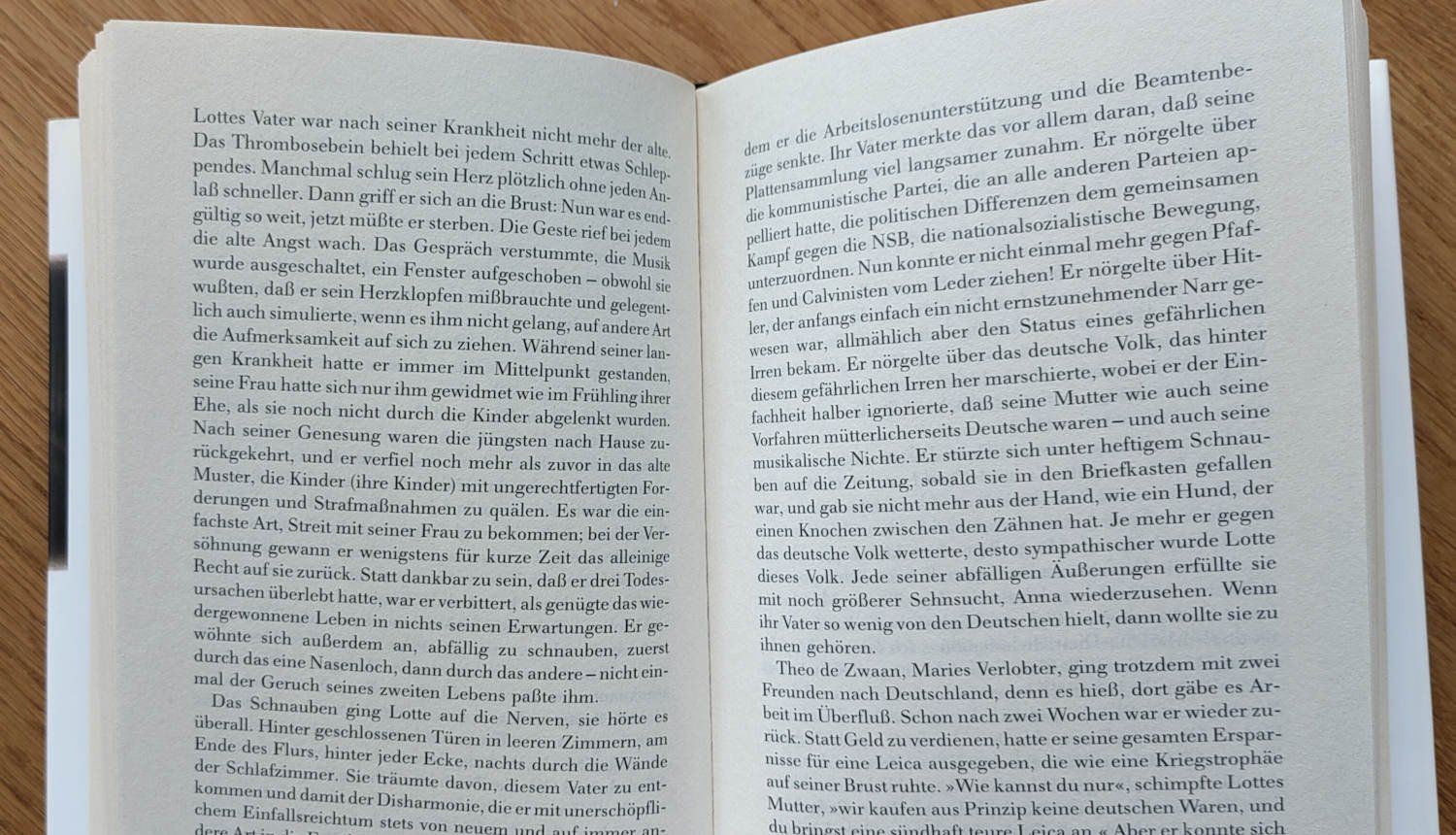 Libri: Die Zwillinge - Tessa de Loo – Usato da Zürich venduto da kba_579s 3