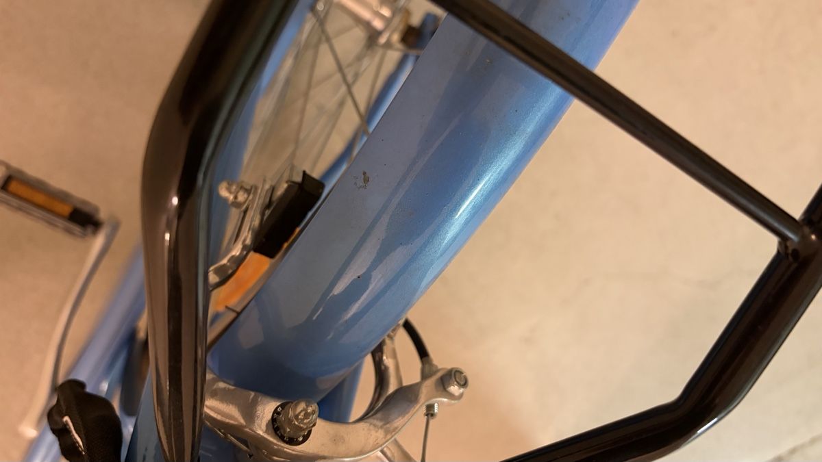 Totem Velos: Fahrrad/Damenrad Singlespeed, Modell Totem Classic – Gebraucht aus Hinwil von MattyT17 8