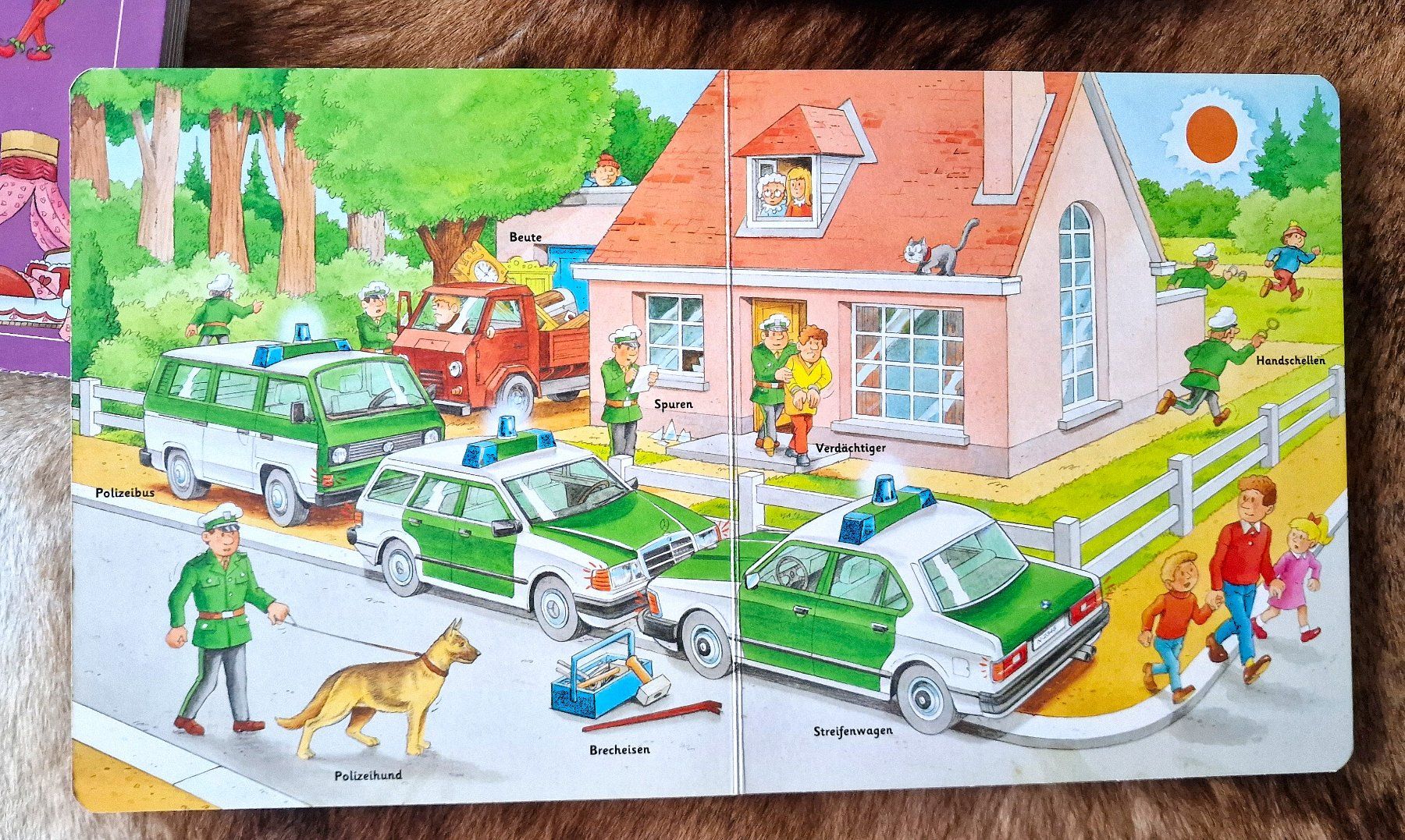 Libri: Kinder Wimmelbuchsammlung 4 Stück – Usato da Hombrechtikon venduto da MalgorzataJ 3