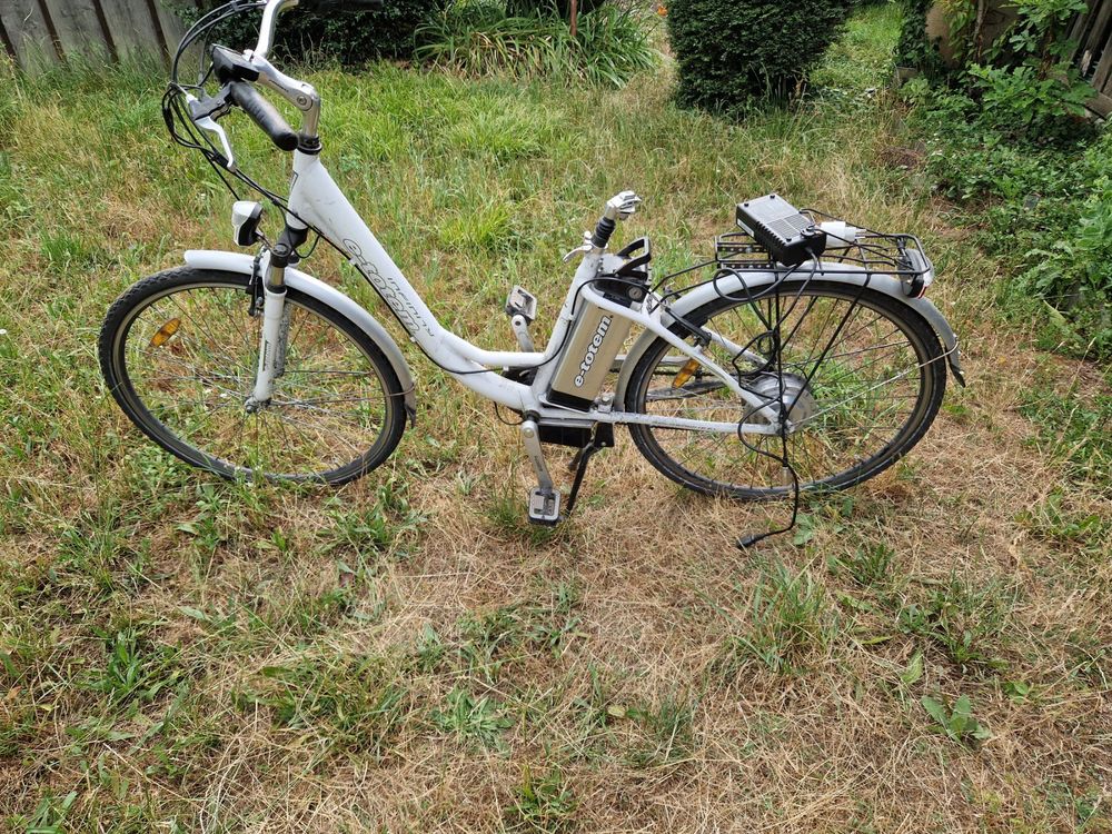 real elektrofahrrad