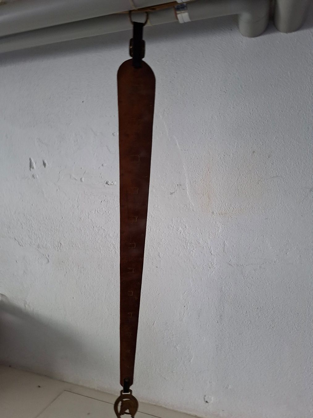 Tutte le decorazioni: Staatsriemen – Usato da Ramsen venduto da wawpvvnm 1