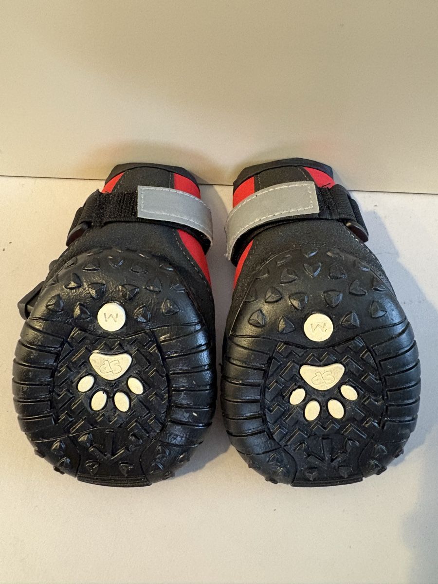 Vêtements: Hundeschuhe – Neuf (Voir description) à Meilen par mogli_luna 1