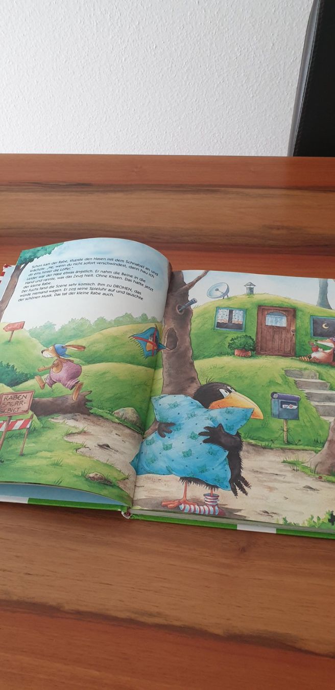 Libri: DAS GROSSE BUCH vom kleine Raben Socken – Usato da Steinhausen venduto da pinu09 3