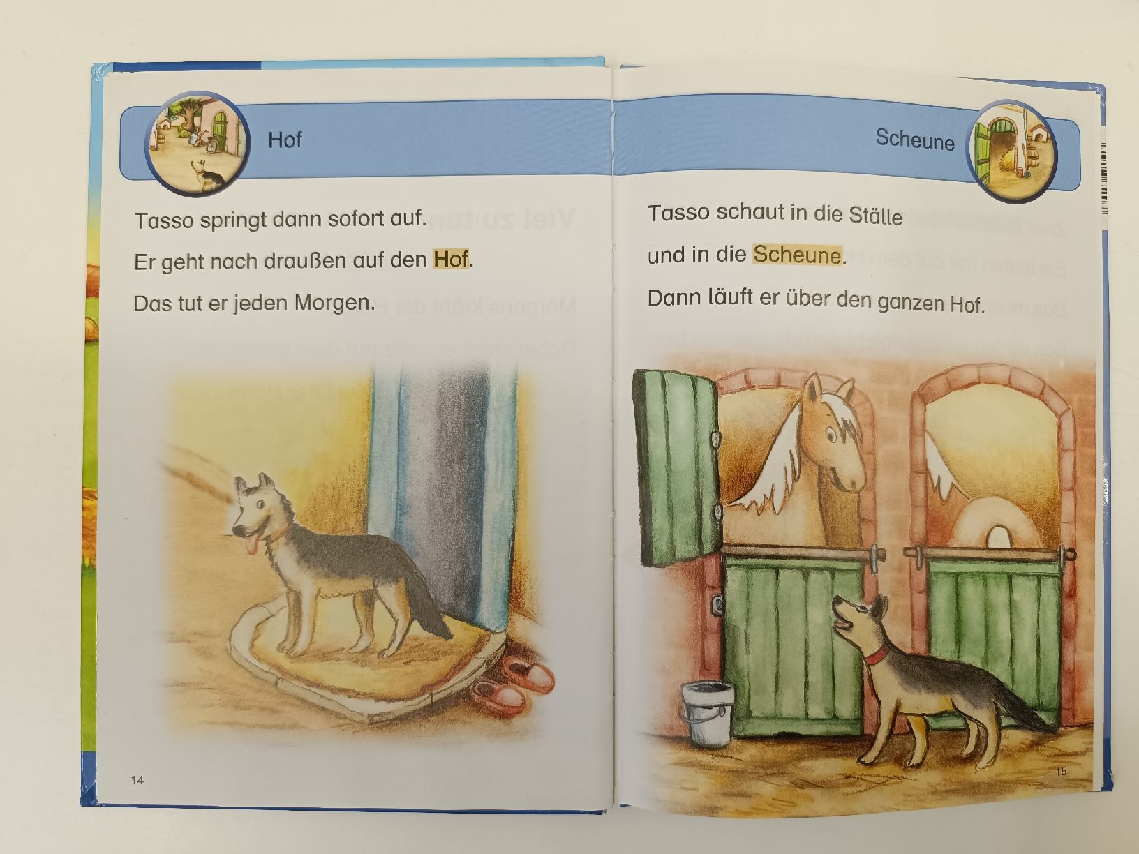 Libri: Tiergeschichten – Usato da Ehrendingen venduto da Cheronimo2 2