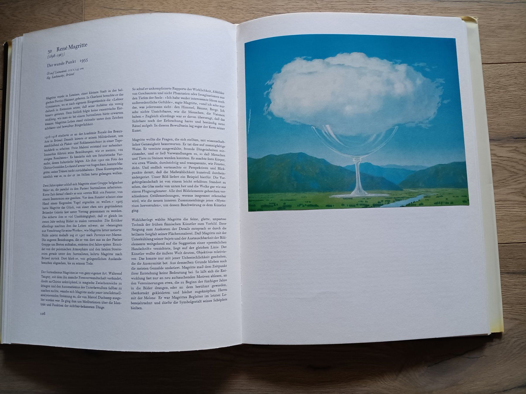 Libri: MALEREI UNSERES JAHRHUNDERTS Kunstbuch – Usato da Nussbaumen AG venduto da Lightblue 6