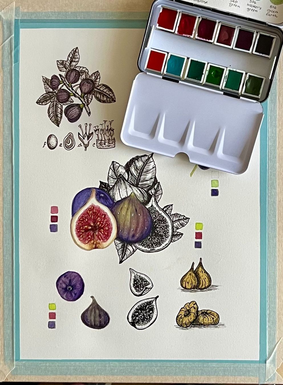 Schreibblöcke: Spiral Notizbuch Notebook von Handgemalte Botanisch Feige – Neu und originalverpackt aus Schliern b. Köniz von equilibrium1123 5