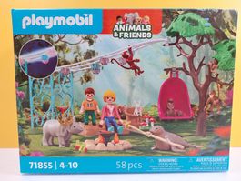 Playmobil 71855 Tiere und Freunde - Geburtstagsparty NEU