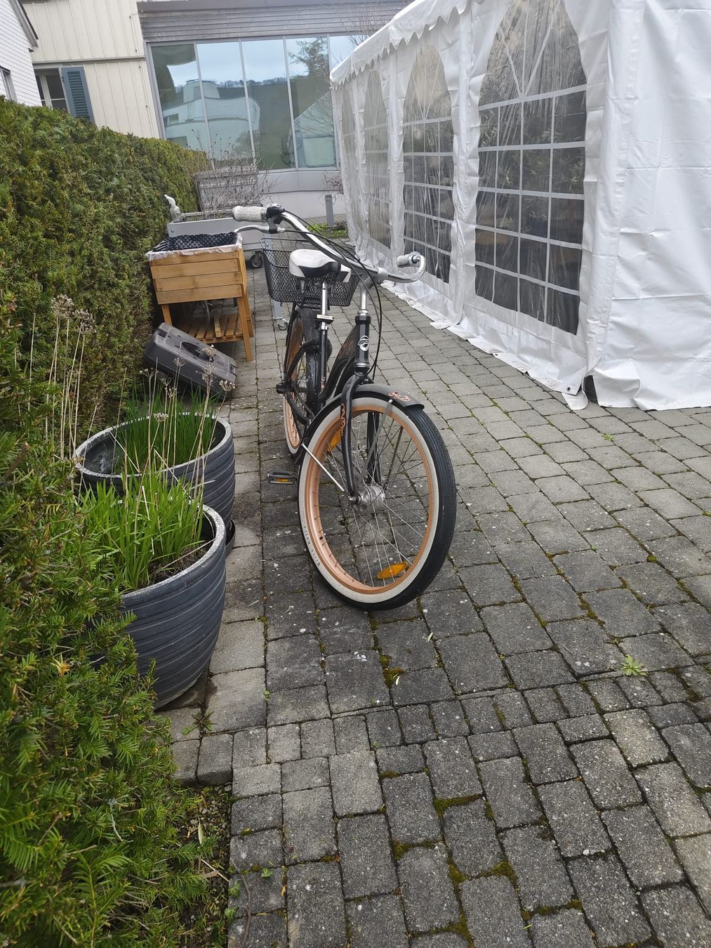 Velos: Einzigartiges Fahrrad mit Stil – Gebraucht aus Münsingen von dom_9x7h 1