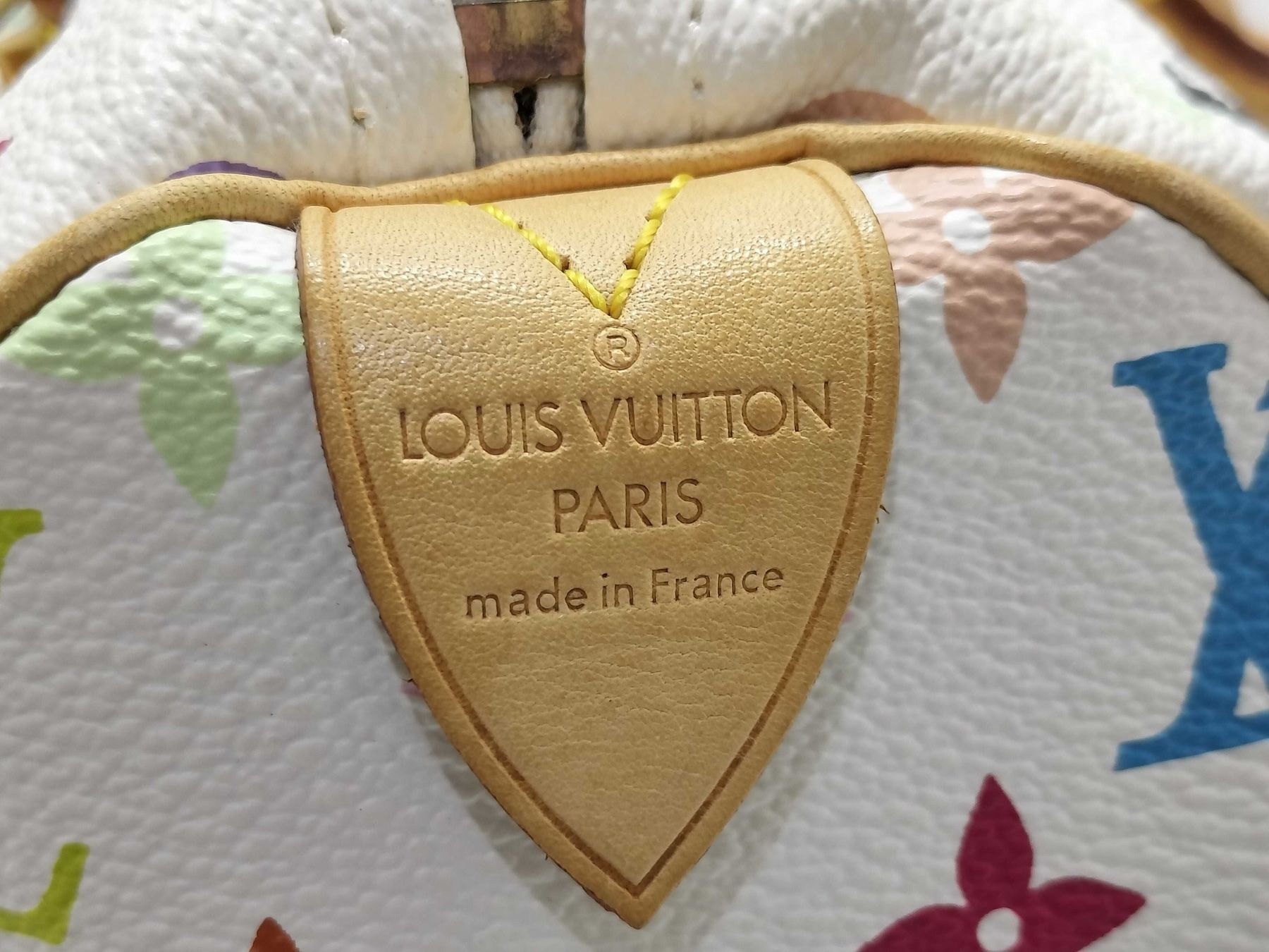 Louis Vuitton Borse da donna: Louis Vuitton Speedy Multicolor, Limited Edition – Usato da St. Gallen venduto da Love_Luxury 7