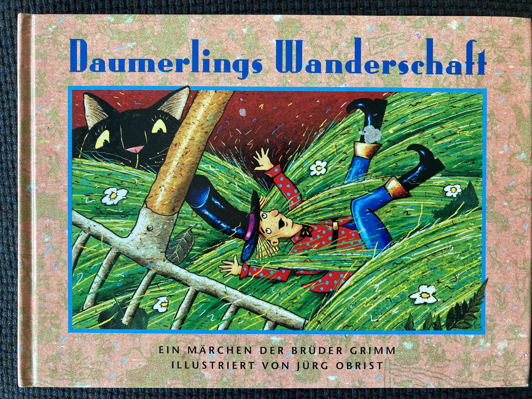 Livres: Brüder Grimm, Daumerlings Wanderschaft – D'occasion à Baden par Yoyo1
