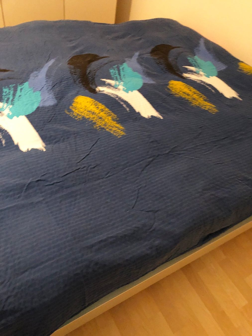Bettwäsche: Duvetbezug 240 x 220 cm – Neu (gemäss Beschreibung) aus Glattbrugg von Ariel012 9