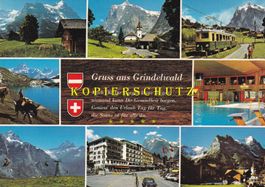 Gruss aus Grindelwald (Diverse Ansichten) /ay