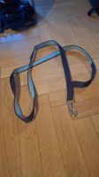 Laisse pour chien