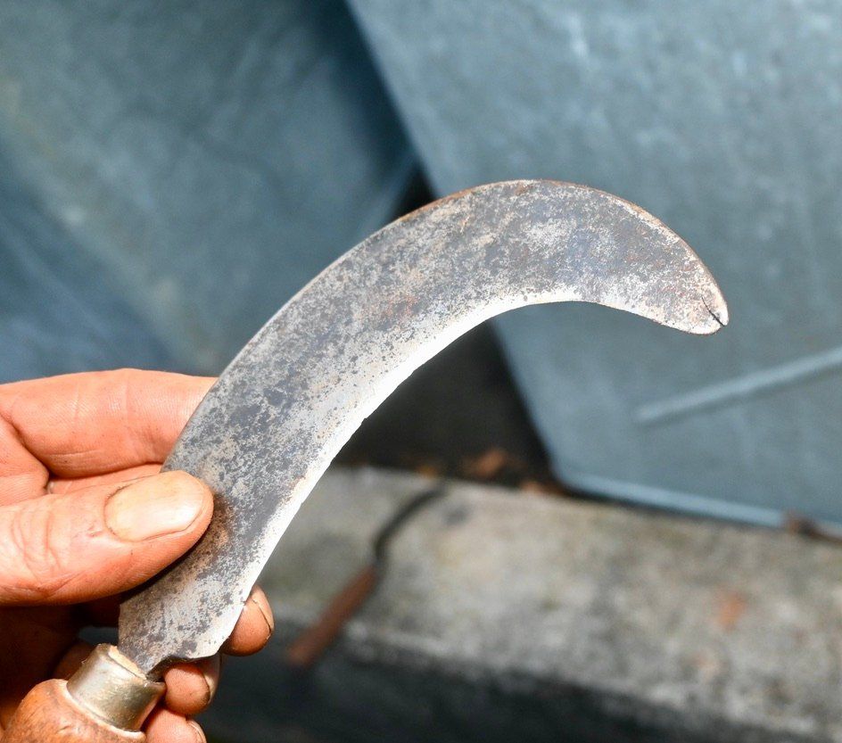 Tutti gli attrezzi: ANTIKE Handsichel Länge ca. 26cm – Usato da Pfaffhausen venduto da mono_rec 8