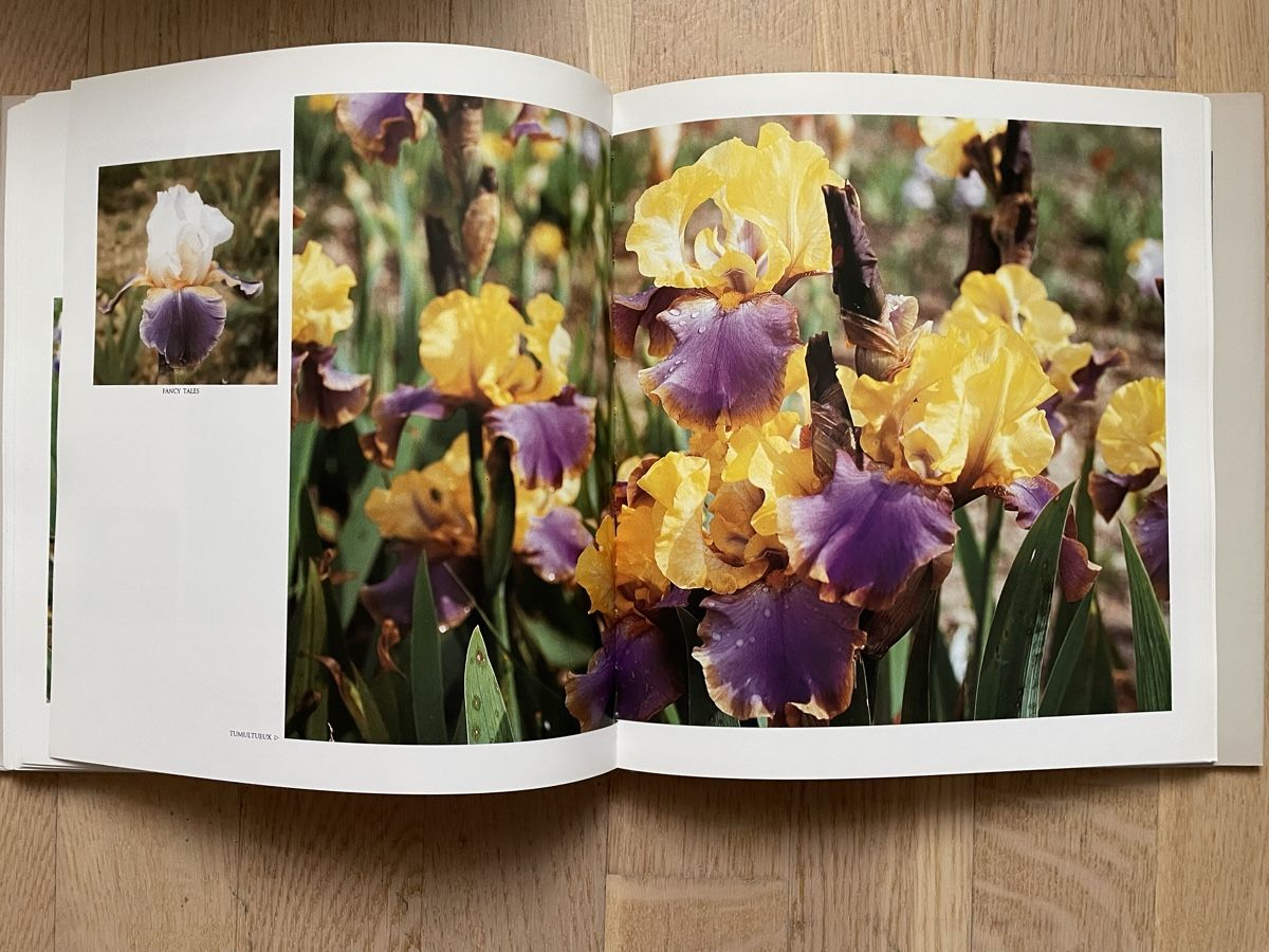 Libri: Bildband Blumen: L‘iris - une fleur royale – Usato da Brütten venduto da Snowkiwi 4