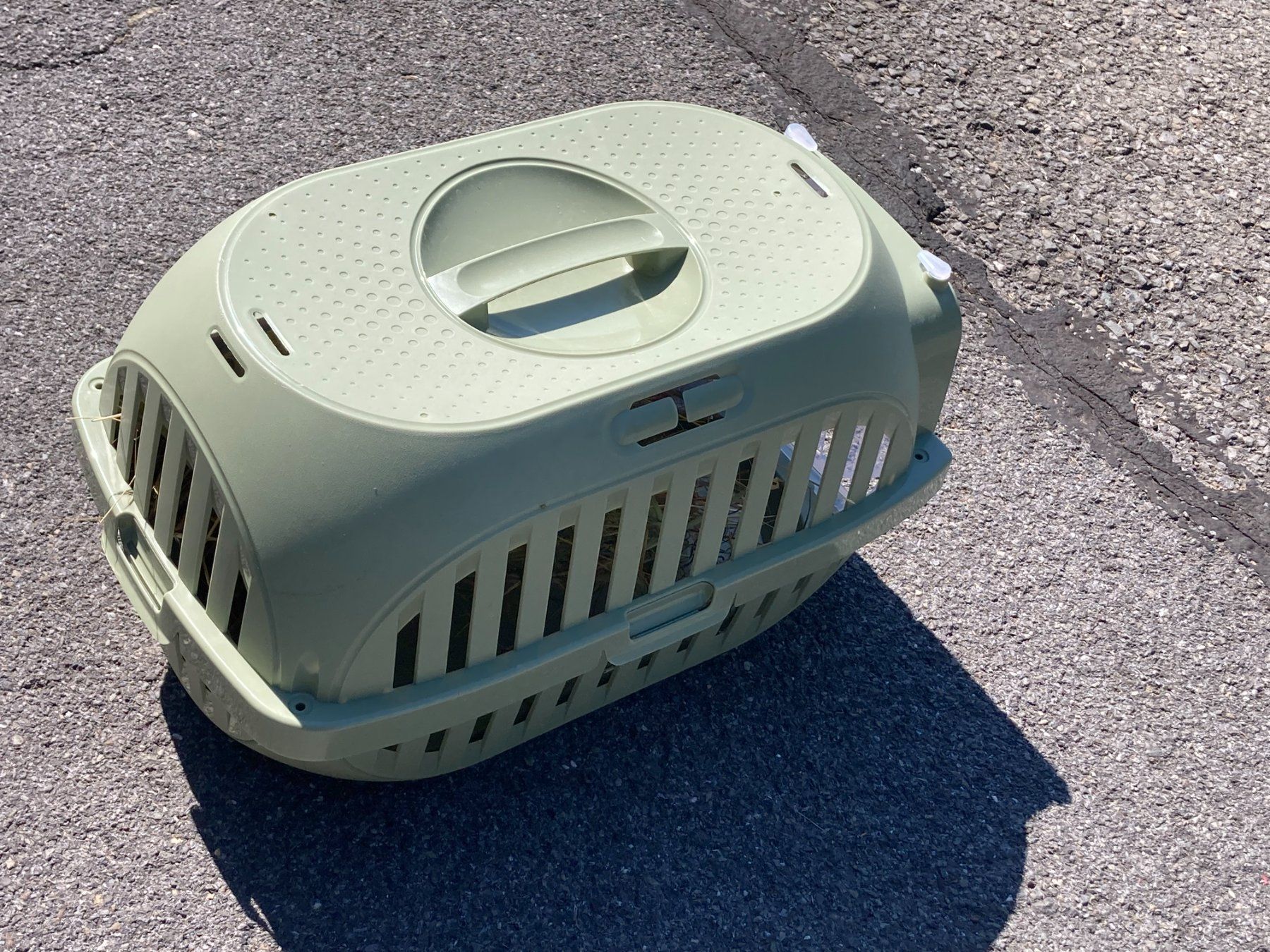 Gabbie, trasporto & Sicurezza: Cage de transport pour petits animaux – Usato da Essertines-Yverdon venduto da RNU11